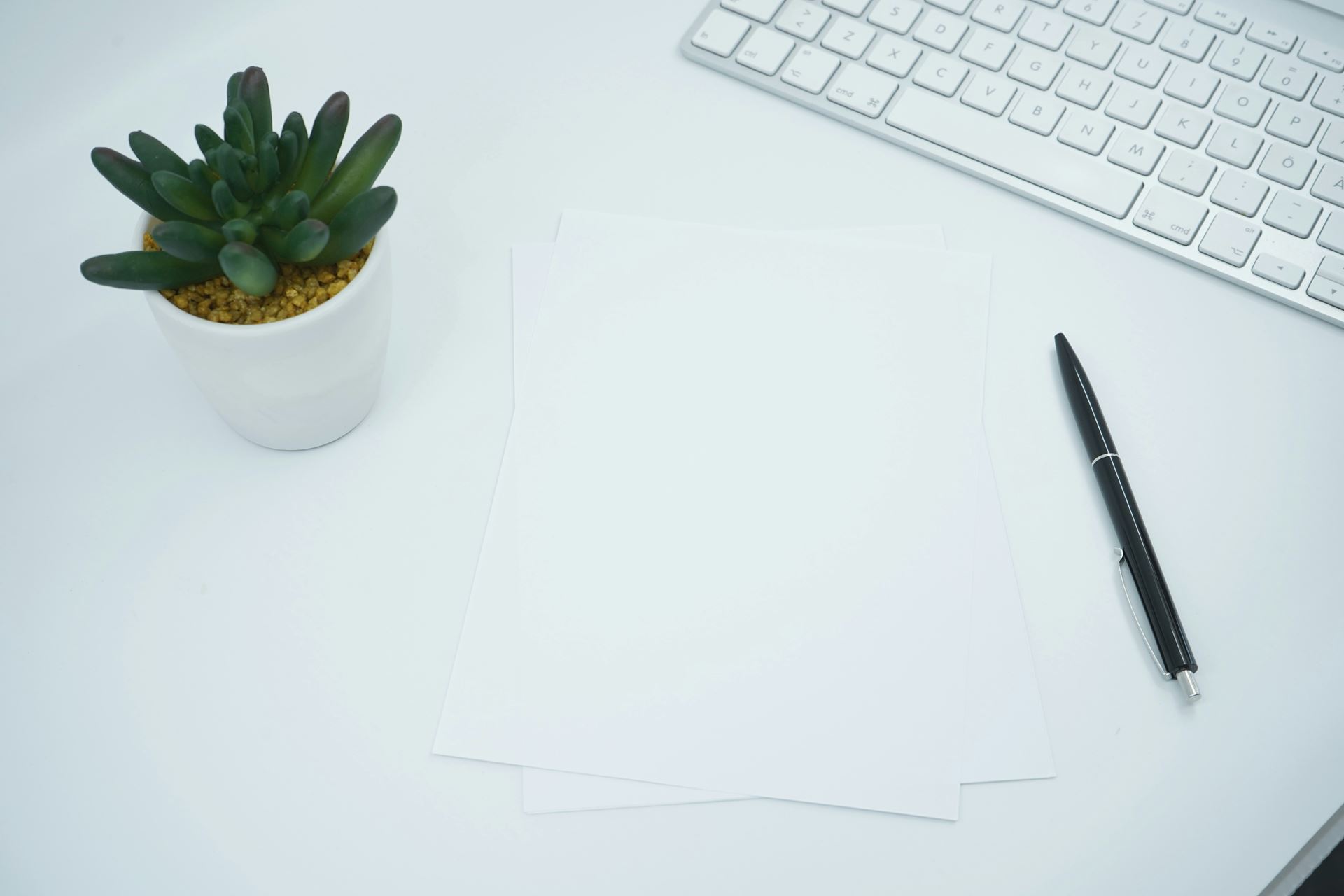 white desk with green pot plant, pen and keyboard